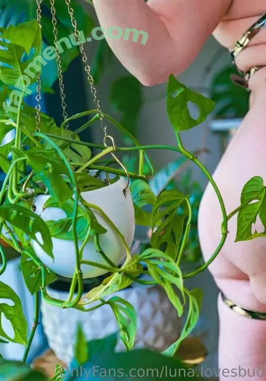 luna.lovesbud nude photo #0100 (Lunalovesbud)