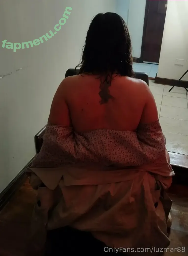 luzmar88 nude photo #0070 (luzmar88)