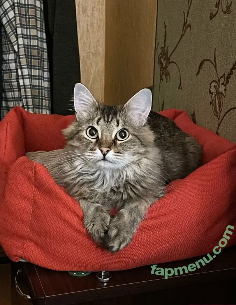 lvivske_1715l nude photo #0045 (lvivske_1715_official)