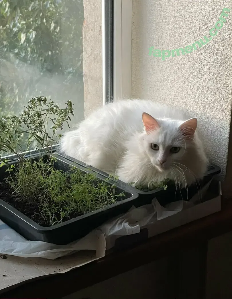 lvivske_1715l nude photo #0048 (lvivske_1715_official)