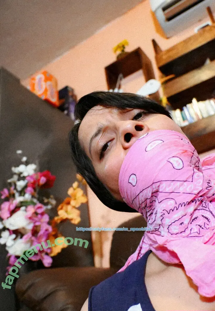 m_apachita nude photo #0187 (mapachula__)