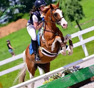 Mackenzie Rosman / mackrosman nude photo #0037