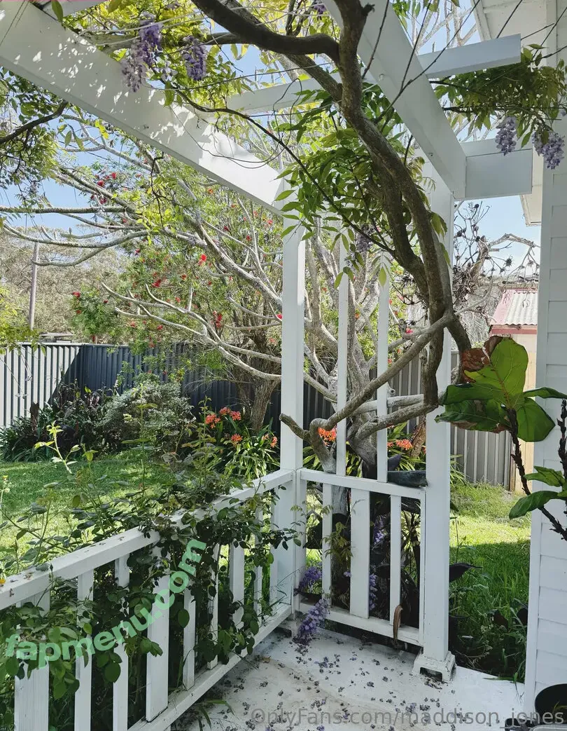 maddison_jones nude photo #0074 (maddison_jones)