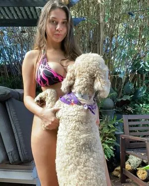 Maddy Mahmoudi / MaddyMahmoudi / Maddy_mahmoudi / u268798505 nude photo #0156