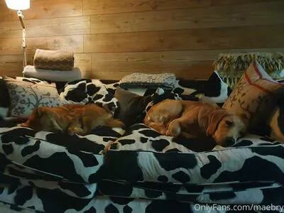 maebry / maebrycraig nude photo #0100