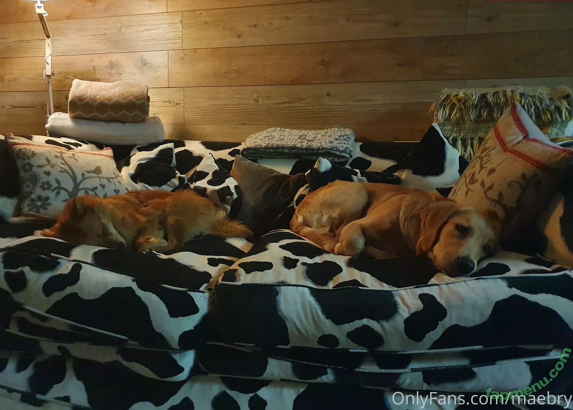 maebry nude photo #0100 (maebrycraig)