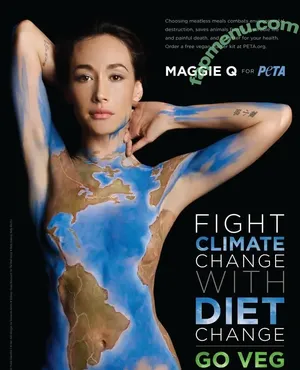Maggie Q / maggieq nude photo #0252