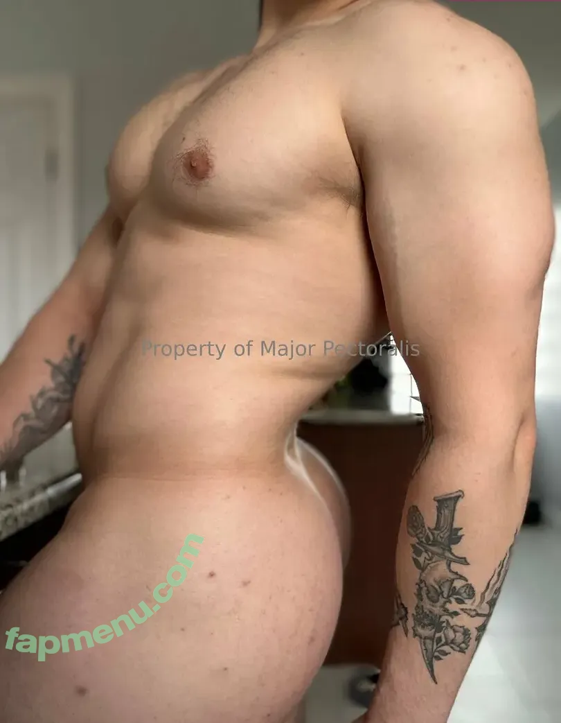 majorpectoralis nude photo #0122 (majorpectoralis)