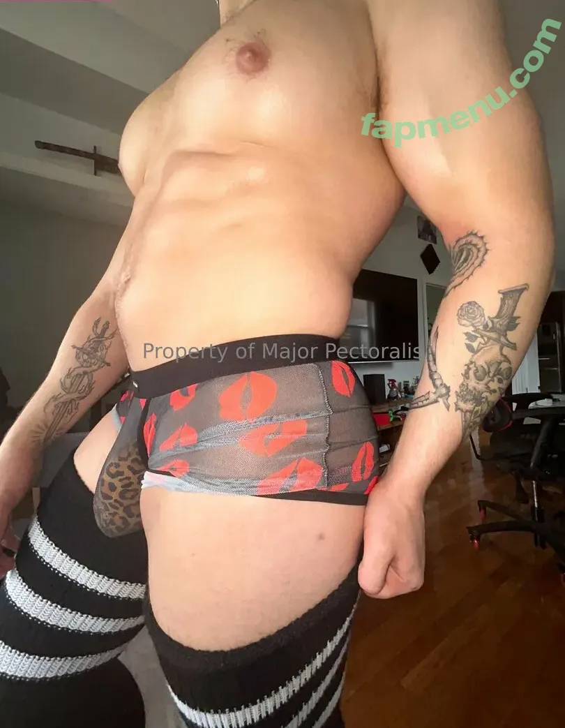 majorpectoralis nude photo #0128 (majorpectoralis)