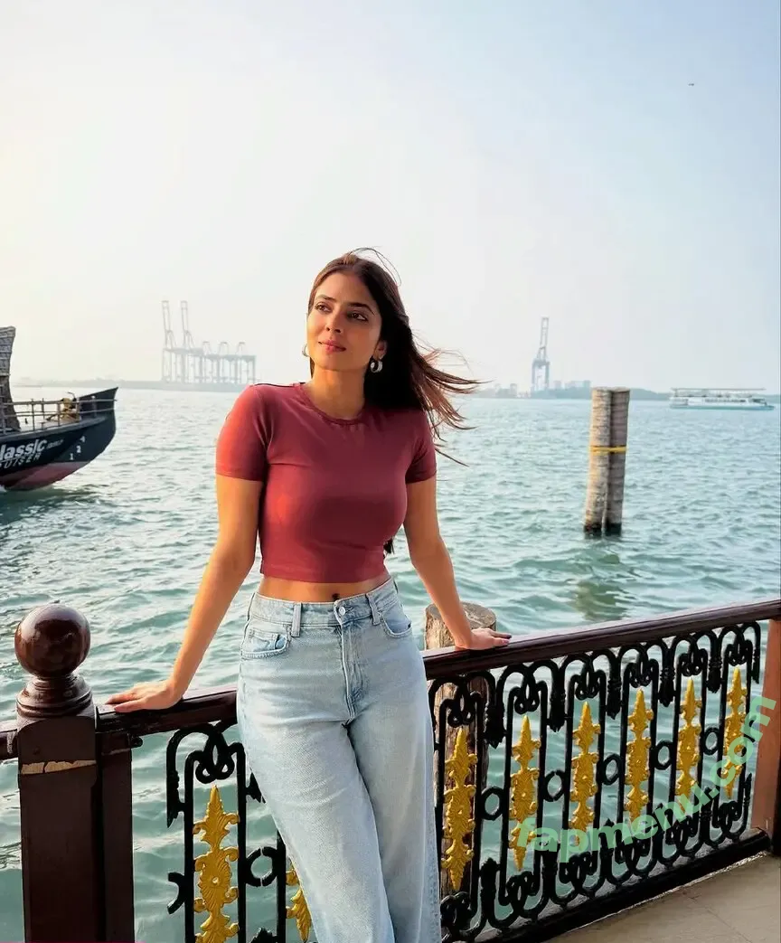 Malavika Mohanan nude photo #0052 (malavikamohanan_)