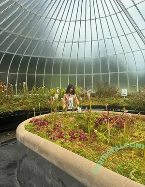 Malina Weissman / malinaweissman nude photo #0444