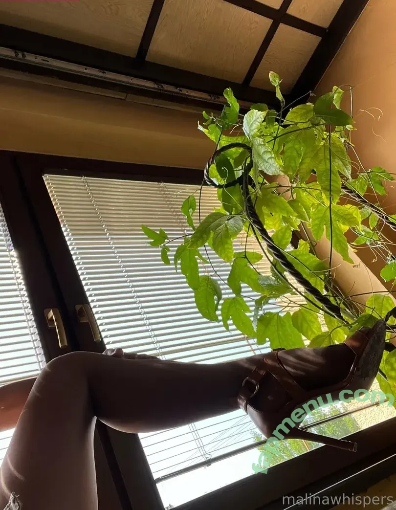 malinawhispers nude photo #0161 (malinawhispers)