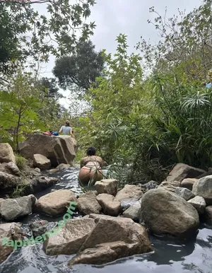 Mangowoman nude photo #0073