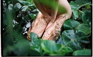 Marat Safin / maratneva nude photo #0665