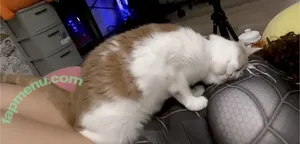 marciemoomoo / charley-moo / marciemoomooo nude photo #0034