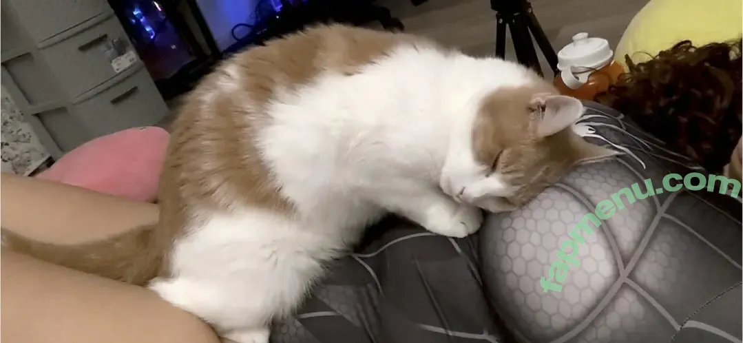 marciemoomoo nude photo #0033 (charley-moo / marciemoomooo)