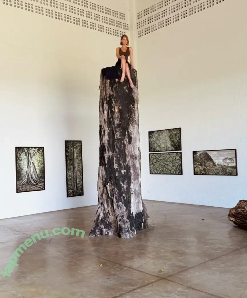 Mariana Ximenes nude photo #0307 (marixioficial)