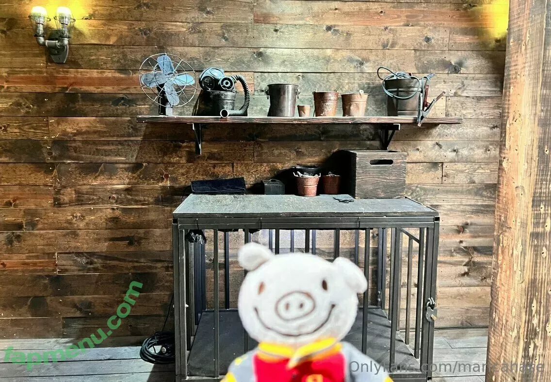 maricahase nude photo #0188 (themaricahase)