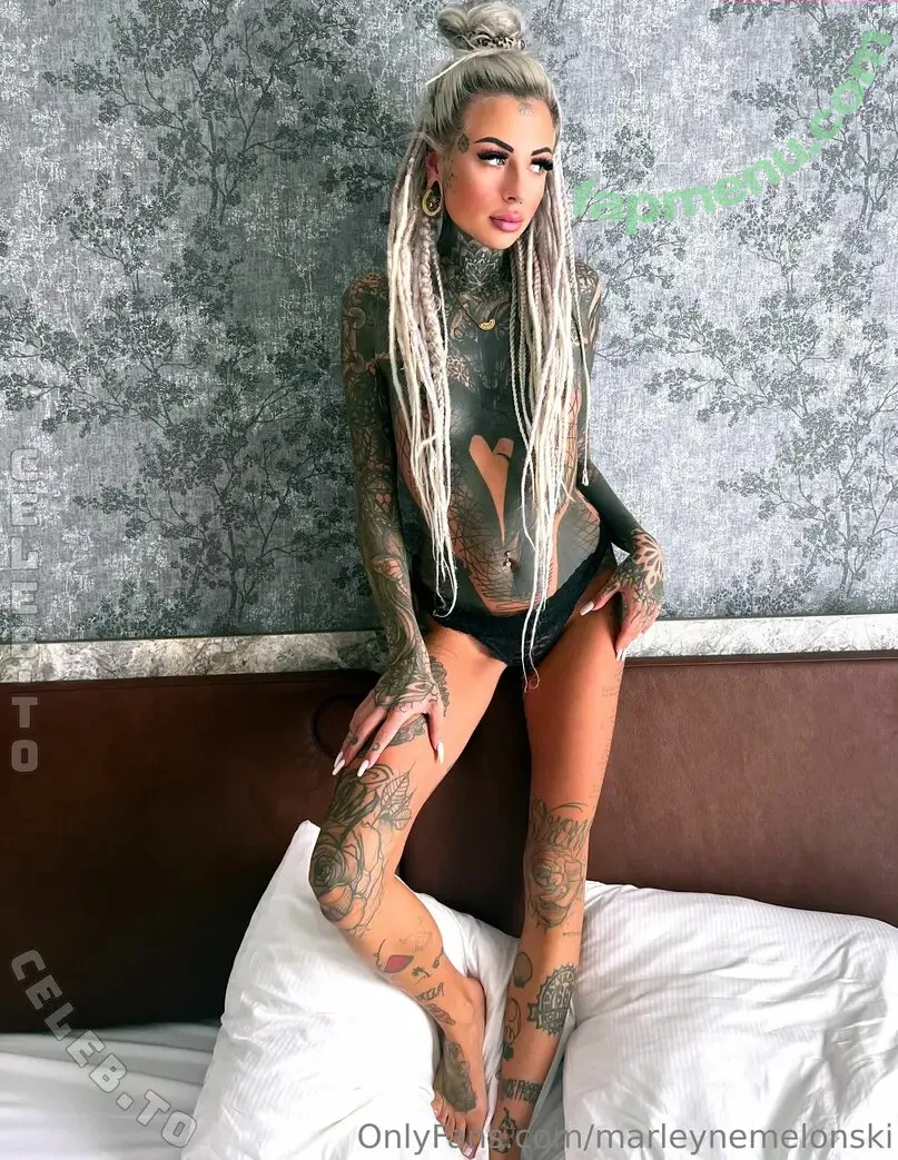 Marleyne Melonski nude photo #0037 (marleynemelonski / melonskii.privat)
