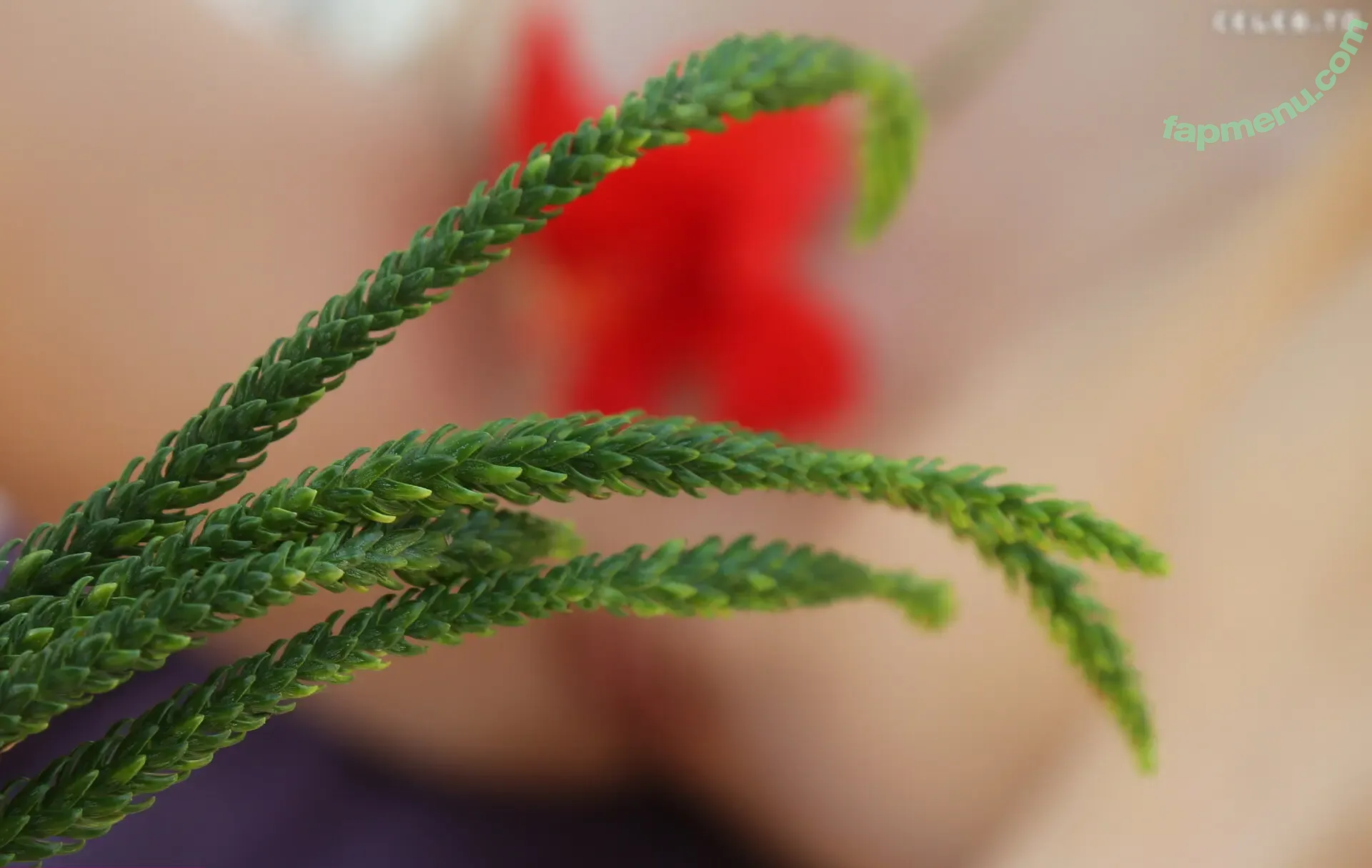 Marta Gromova nude photo #1930 (GromovaModel / Lilu / Lily Fleur / martagromova.magazine / marthagromova_model)