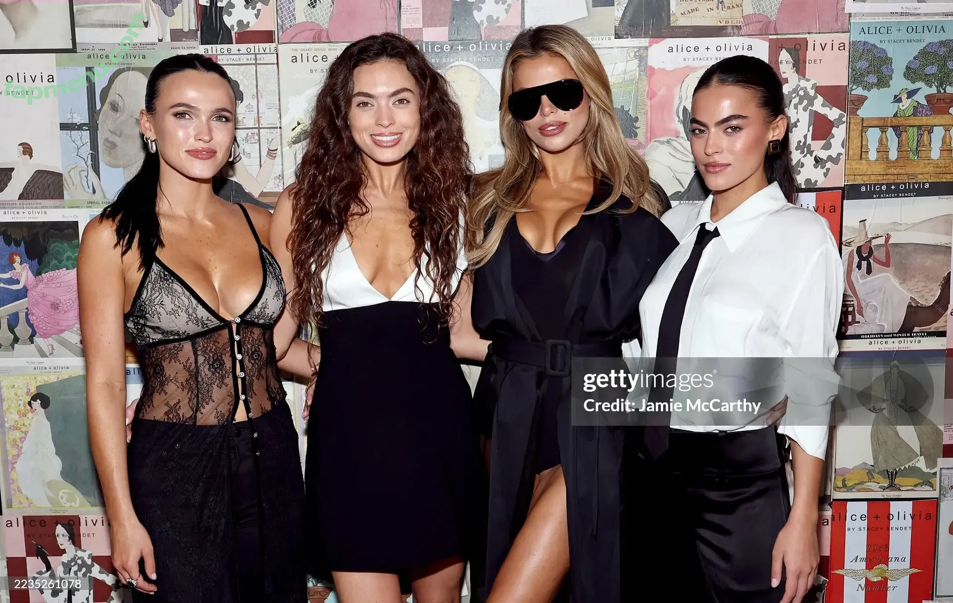 Mary Holland Nader nude photo #0024 (maryhollandnader)