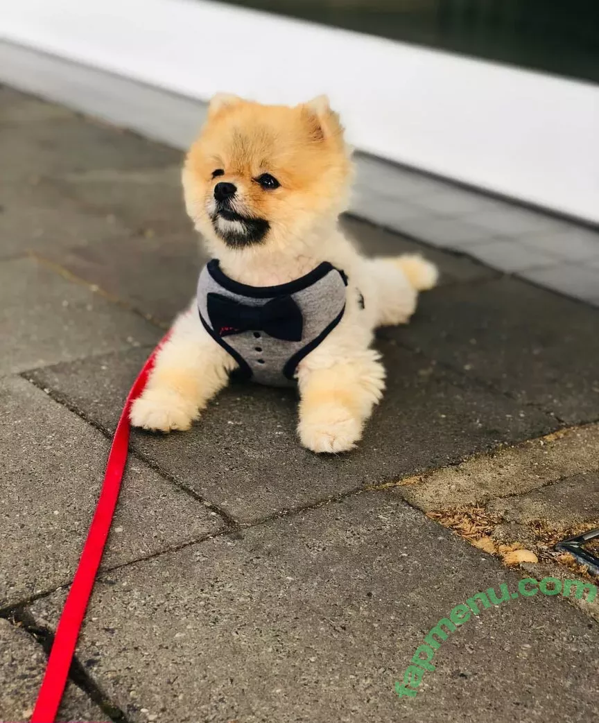 Maya Bulgarien nude photo #0100 (a.t.hristovaa / mayabeats)