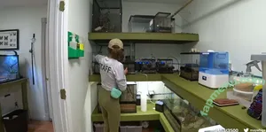 maya_higa / Maya / mayahiga nude photo #0156