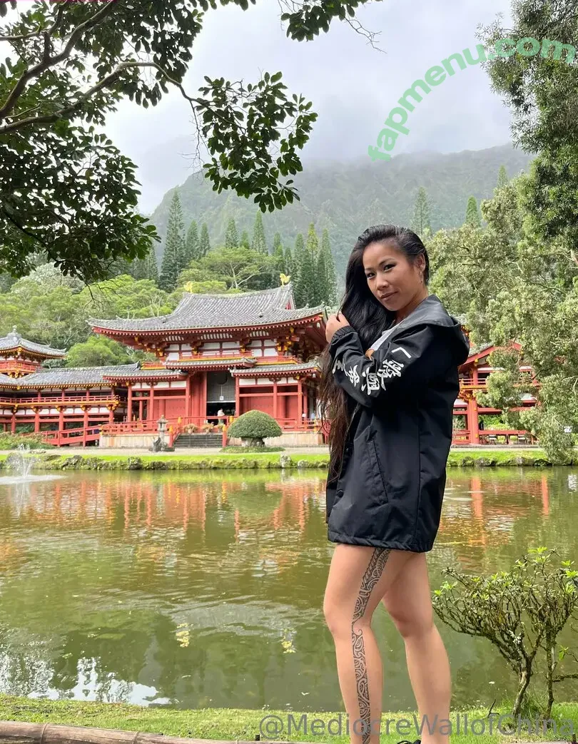 mediocrewallofchina nude photo #0006 (mediocrewallofchina)