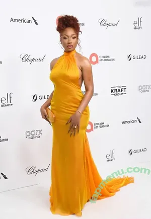 Megan Thee Stallion / megan_renee316 / theestallion nude photo #0064