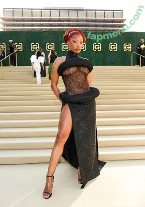Megan Thee Stallion / megan_renee316 / theestallion nude photo #0179