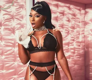 Megan Thee Stallion / megan_renee316 / theestallion nude photo #0352