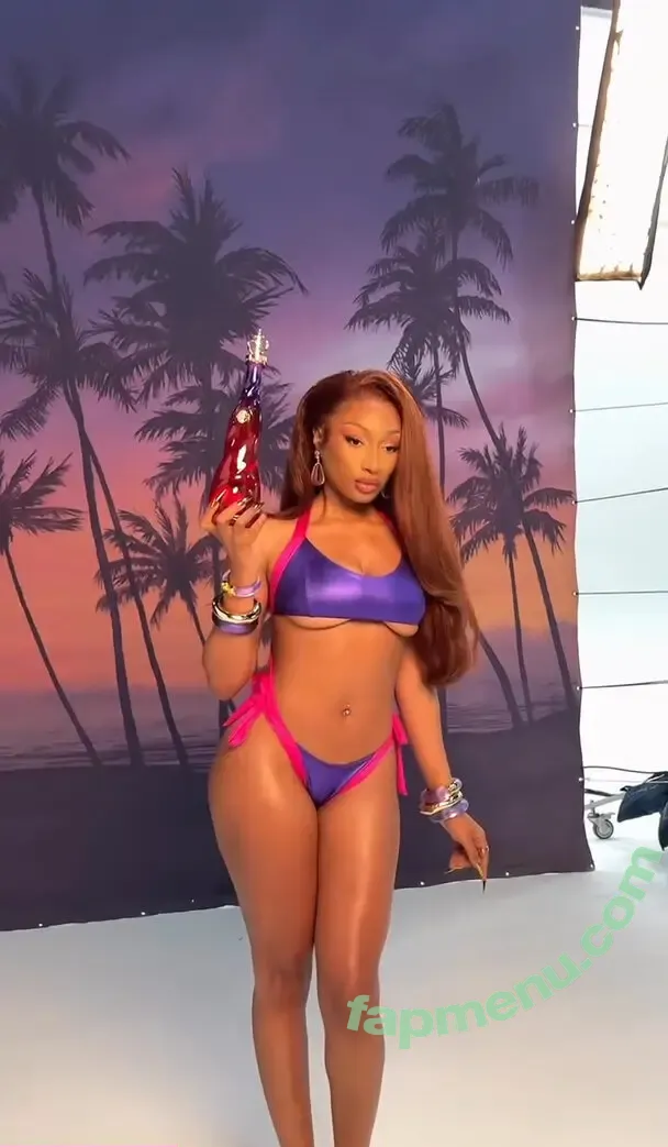 Megan Thee Stallion nude photo #0010 (megan_renee316 / theestallion)