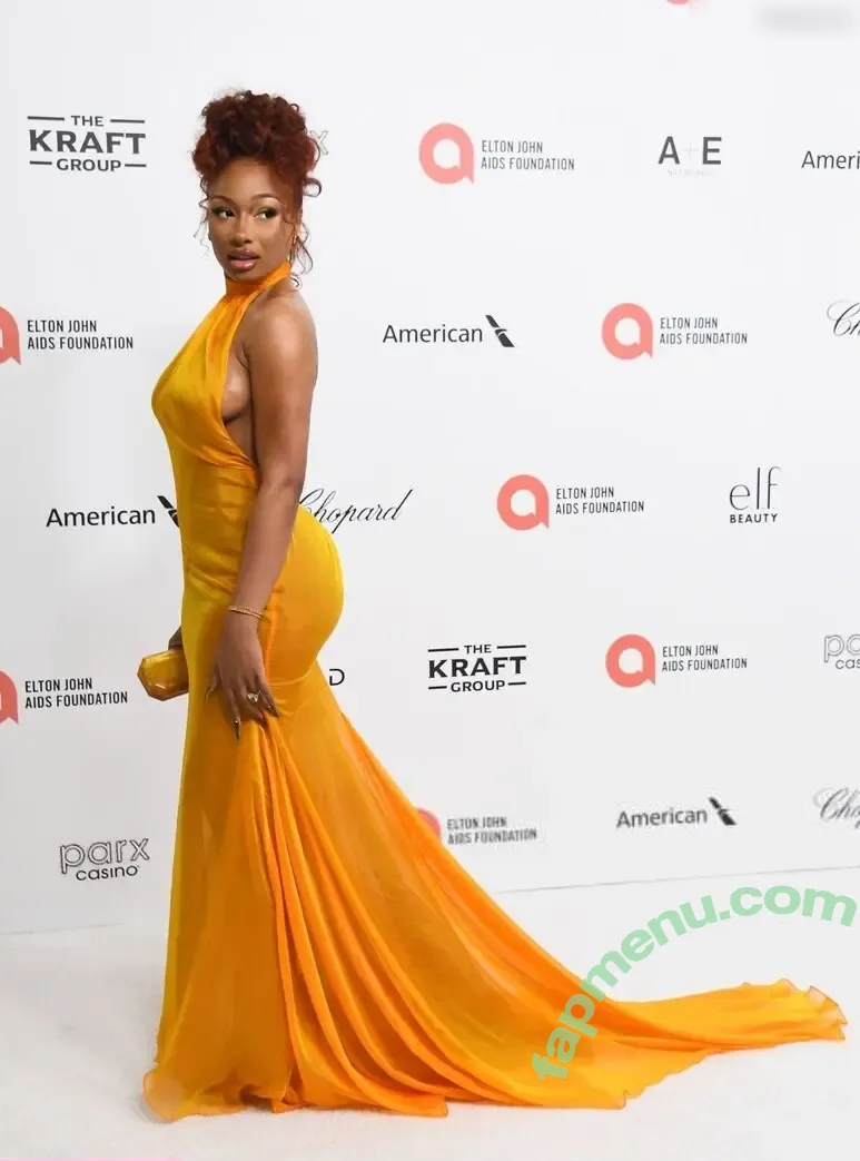 Megan Thee Stallion nude photo #0055 (megan_renee316 / theestallion)