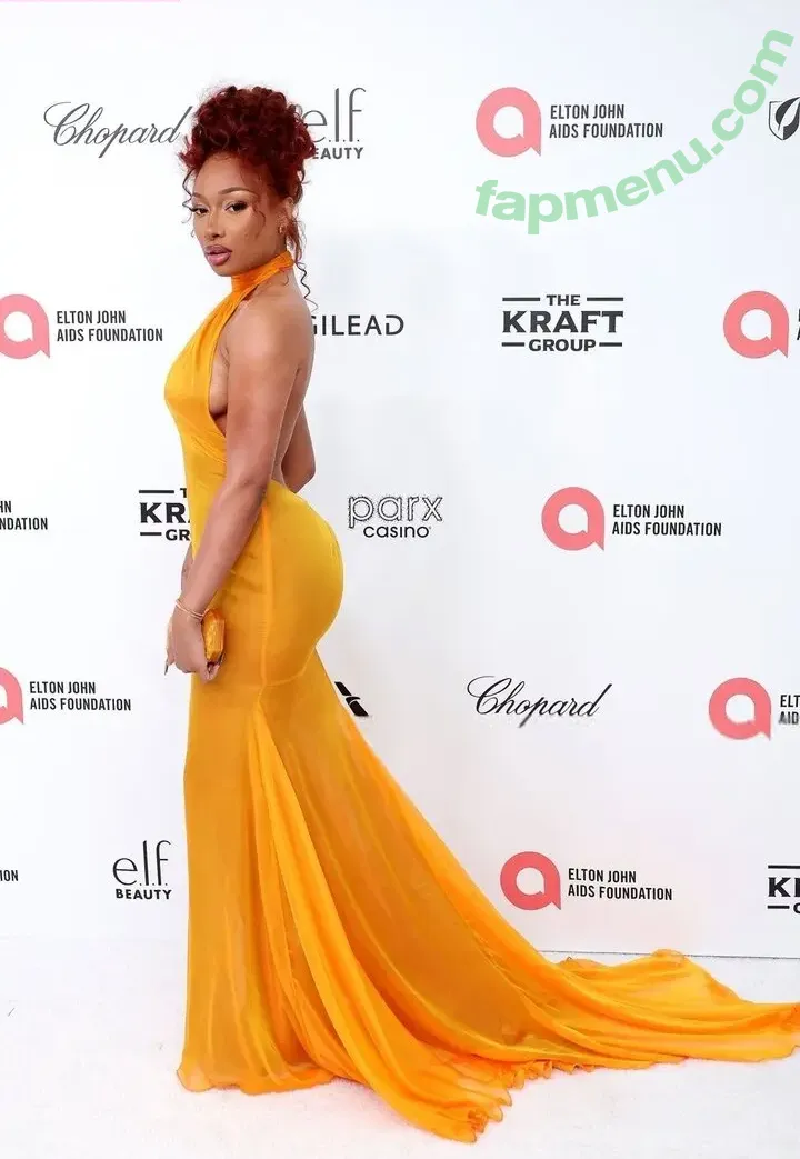 Megan Thee Stallion nude photo #0060 (megan_renee316 / theestallion)