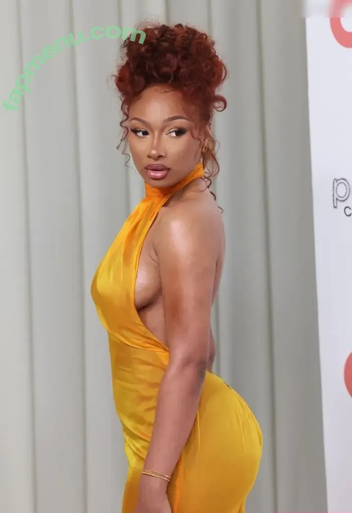 Megan Thee Stallion nude photo #0068 (megan_renee316 / theestallion)