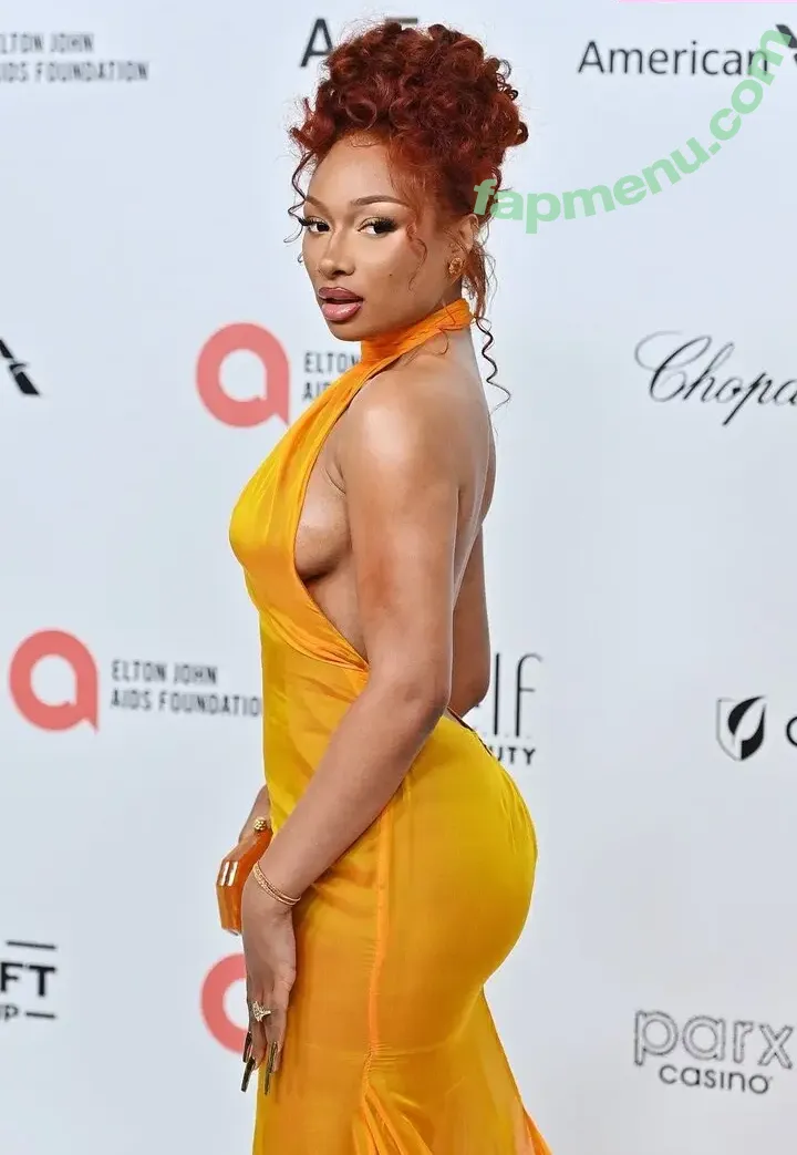 Megan Thee Stallion nude photo #0070 (megan_renee316 / theestallion)