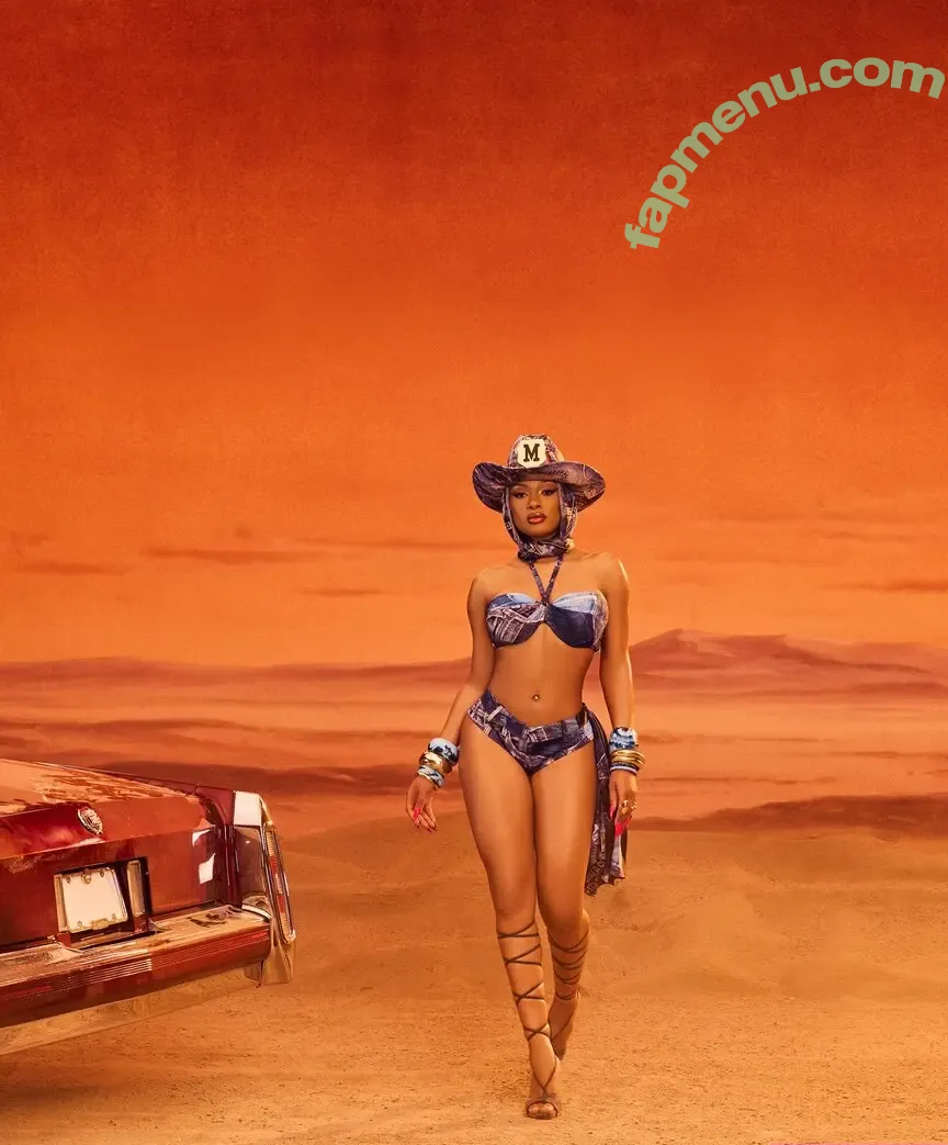 Megan Thee Stallion nude photo #0075 (megan_renee316 / theestallion)