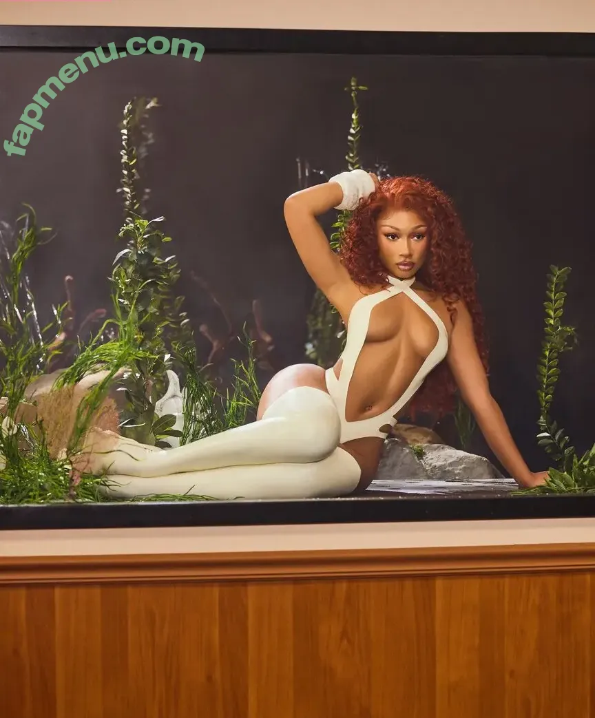 Megan Thee Stallion nude photo #0089 (megan_renee316 / theestallion)