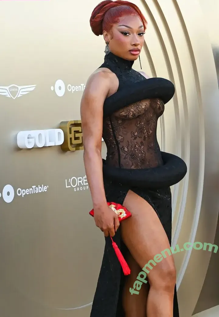 Megan Thee Stallion nude photo #0144 (megan_renee316 / theestallion)