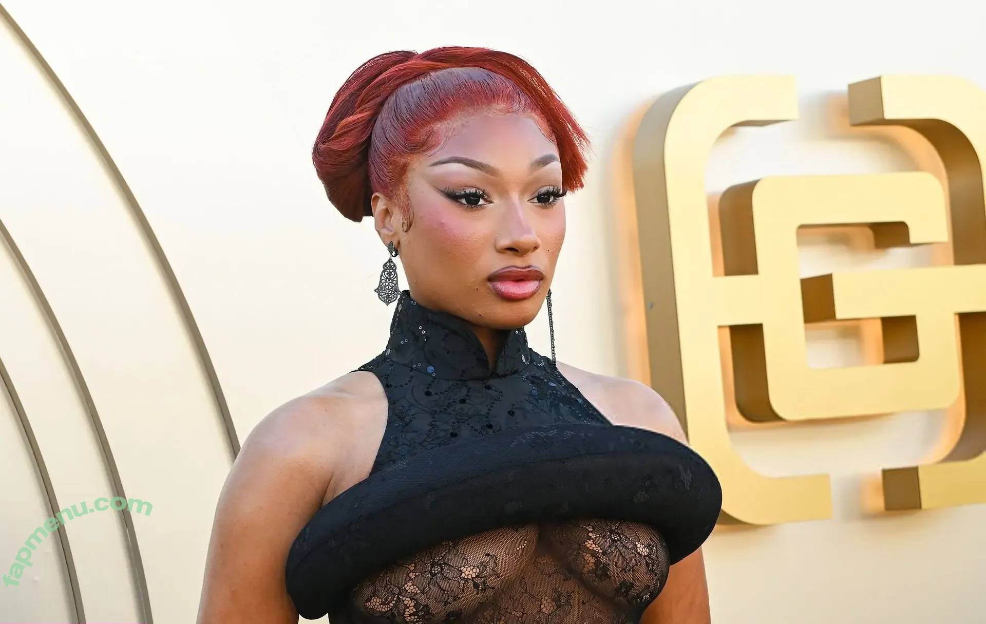 Megan Thee Stallion nude photo #0159 (megan_renee316 / theestallion)