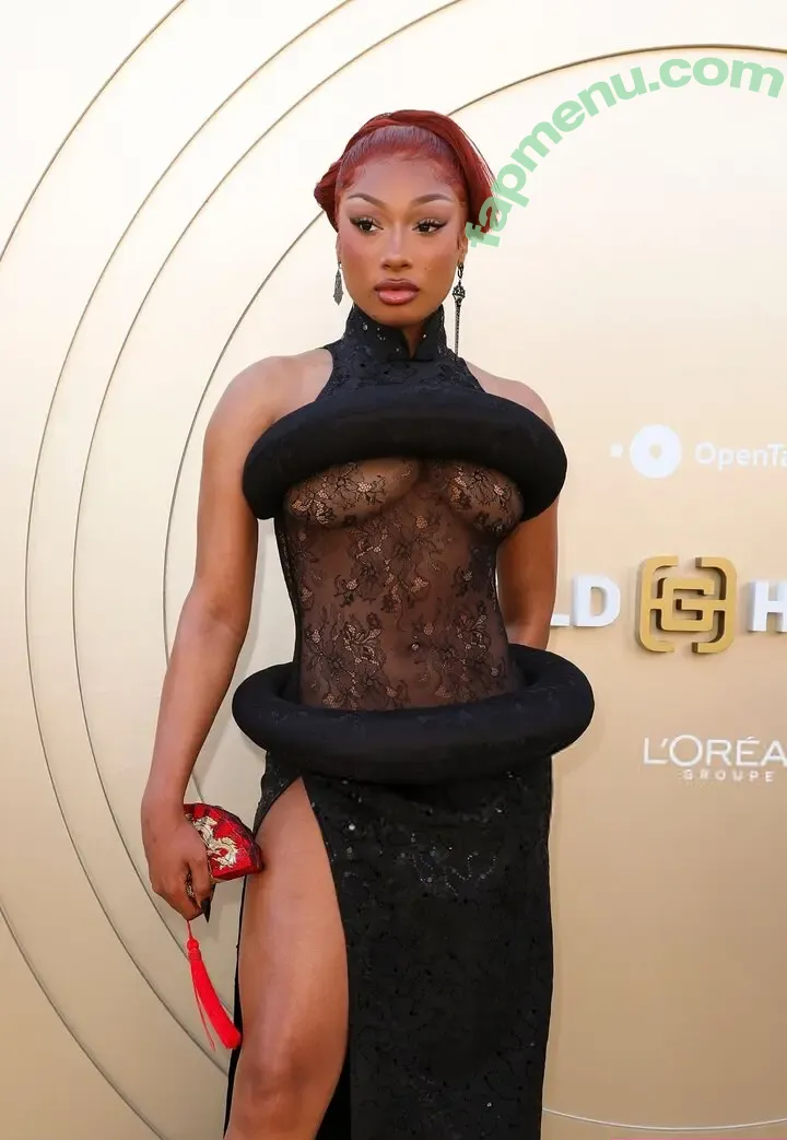 Megan Thee Stallion nude photo #0161 (megan_renee316 / theestallion)