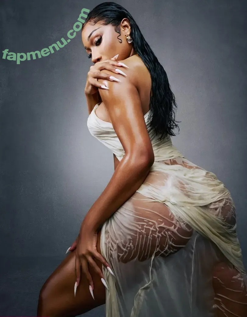 Megan Thee Stallion nude photo #0447 (megan_renee316 / theestallion)