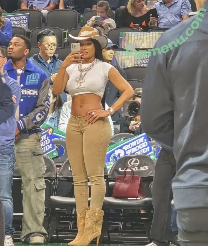 Megan Thee Stallion nude photo #0464 (megan_renee316 / theestallion)