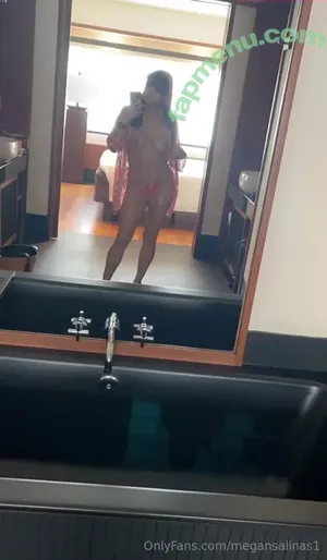 megansalinas1 / megansalinasdc nude photo #0027