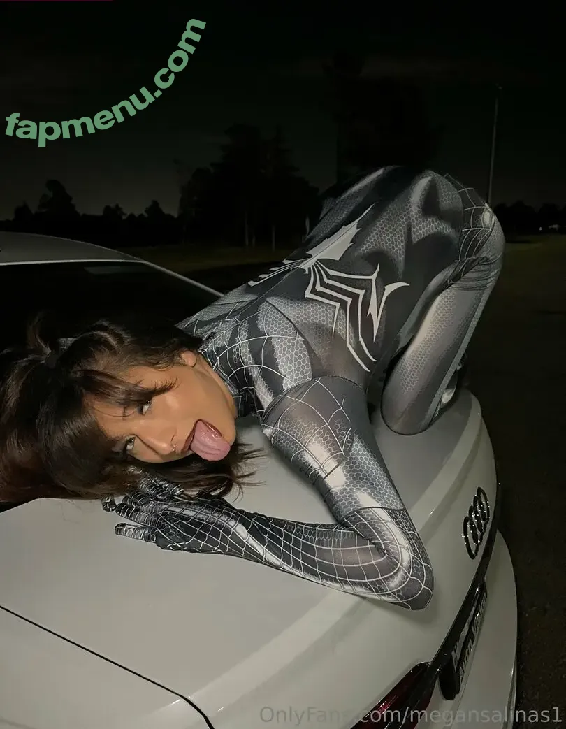 megansalinas1 nude photo #0026 (megansalinasdc)