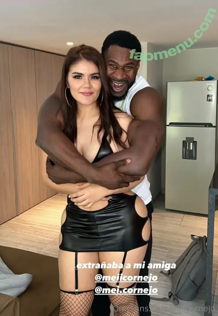 meicornejo nude photo #0008 (imeicornejo)
