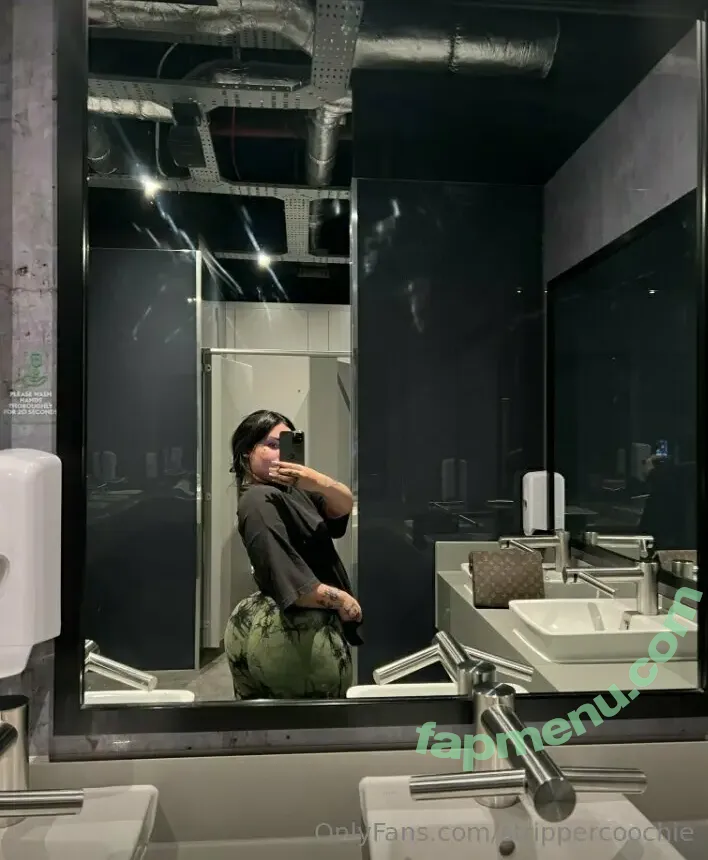 Mel Farahmand nude photo #0086 (strippercoochie / thestripperml)