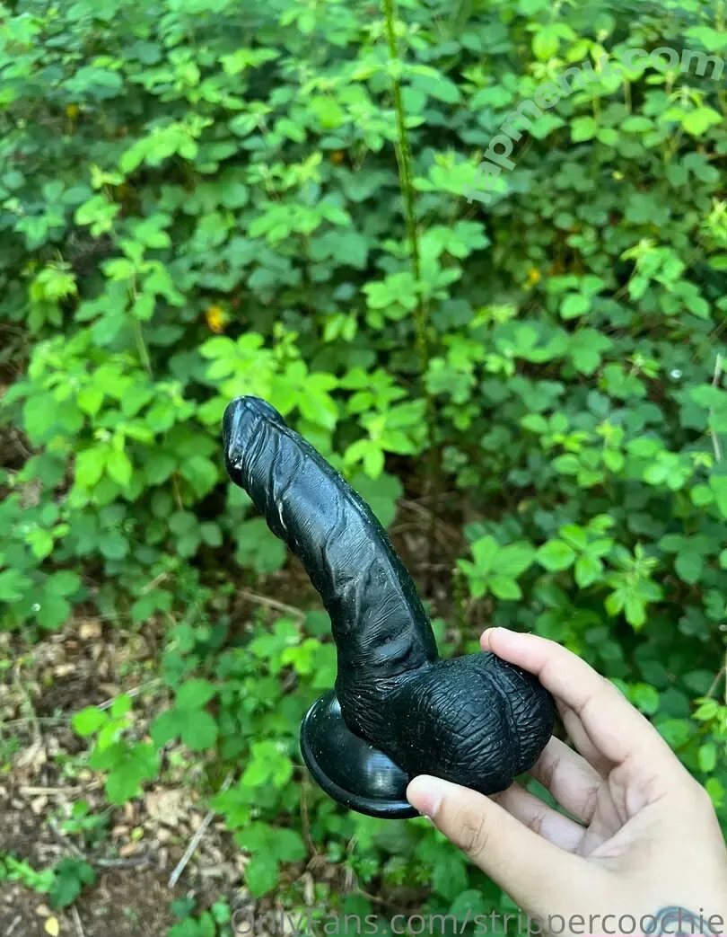 Mel Farahmand nude photo #0122 (strippercoochie / thestripperml)