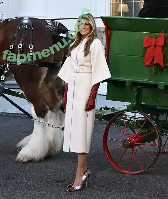 Melania Trump nude photo #0169 (melaniatrump)