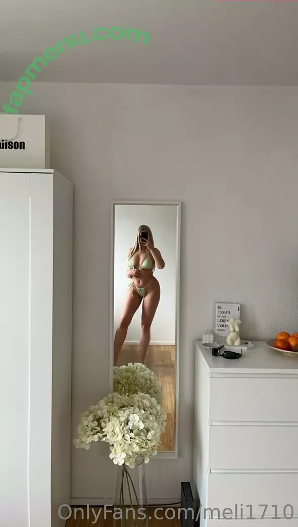 Meli_17_10 nude photo #0005 (meli1710 / meliii1710)